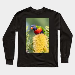 Rainbow Lorikeet on Banksia Long Sleeve T-Shirt